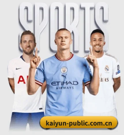 每个板块围绕一个运动项目展开 | kaiyun